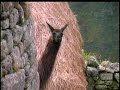 machu pichu MUSICA ANDINA machu pichu MUSICA ANDINA