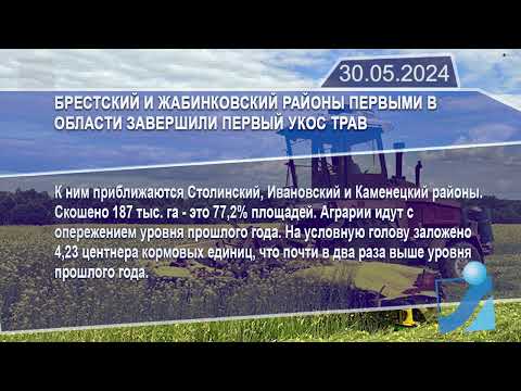 Новостная лента Телеканала Интекс 30.05.24.