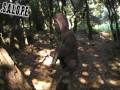 S.T.A.L.K.E.R part2