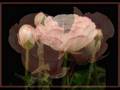 levent y�ksel sen anla