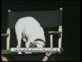 <id >http://gda...