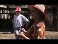 inseminacion artificial