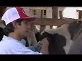Inseminacion artificial