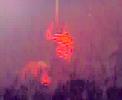 Loveparade 2007 AVM 360° #6