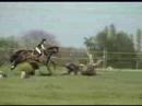 CCE Herchies Steph Briljant 60cm cross CCE Herchies Steph Briljant 60cm cross