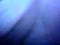 hi i�m jean-michel (jean claude van damme double)
http://youtube.com/watch?v=8_osveibnxg
http://youtube.com/watch?v=0qqu102insc

this is a video with jean claude van damme the best dancer around the world. jc i�m your biggest fan;)