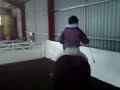 How NOT to get on tato bareback :D