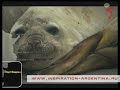 Порт Мадрин (Puerto Madryn)