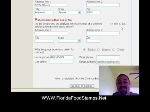 how to apply for ebt