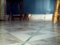 videos de Paper ball 2
