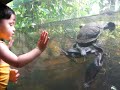 Crazy Turtles - Washington DC Zoo