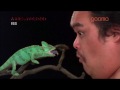 ムネモシュネのたわむれ＃１１ The world of Super Slow Camera