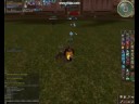 Lineage 2 PvP NightFall Bartz