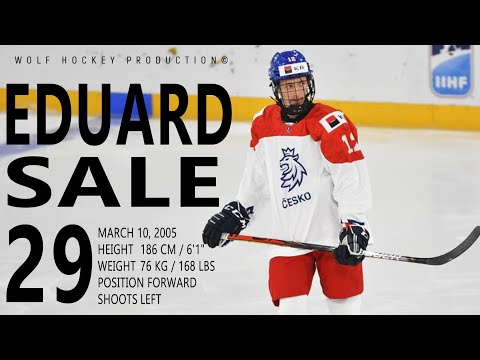 The Best Of Eduard Sale Top Prospect for the NHL 2023 Draft | Eduard Sale Highlights