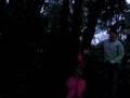 videos de random swings