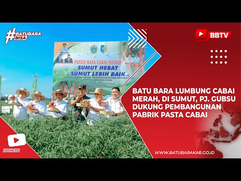 BATU BARA LUMBUNG CABAI MERAH, DI SUMUT, PJ GUBSU DUKUNG PEMBANGUNAN PABRIK PASTA CABAI