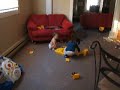 Alex Walking