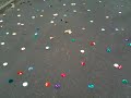 Invisible party (II)