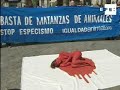 Activistas protestan contra la matanza de delfines en Japón,