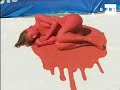 Activistas protestan contra la matanza de delfines en Japón,