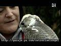 Reportaje cetreria Huesca