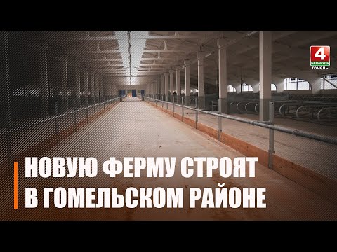 Под Гомелем строят ферму с просторным залом ожидания для коров в доильном блоке видео