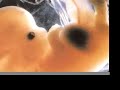 Abortion and pro-life, Morning has broken