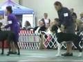 2008 GDCA Nationals Winners Dog Part 1 of 3