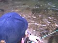 Trout Fishing Cherokee