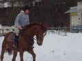 Jolie galop