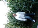 funny guy Lost in a maze funny guy Lost in a maze
