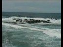 Tacoronte