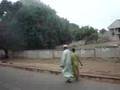 ABUJAVIBES