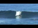matt meola