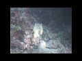 Night dive - Maldives