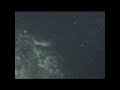 Night dive - Maldives