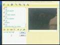 msn-safada
