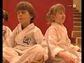 Twin Taekwondo