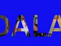 HASAN DALAN VEDA BUSESİ