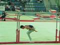 SERIE A1 A2 GINNASTICA ARTISTICA CATANIA 2007