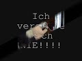Vicys Pferde