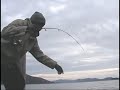 TONS OF CLEAR LAKE CRAPPIES -FISHING WITH RIPPN LIPPS