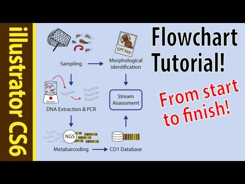 how to draw dna in illustrator
