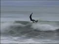Surfing Near Seattle Surfing Near Seattle