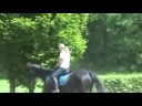 Kleiner R�ckblick