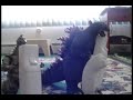 Godzilla Unleashed Commercial Godzilla Unleashed Commercial