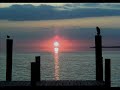 You Are My Sunshine - Cover by Rhen