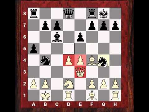 chess candidates 2013 chess candidates 2013