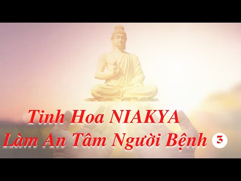 Kinh NIKAYA Giảng Giải - Làm An Tâm Người Bệnh 3