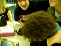 videos de Steven in Seminar